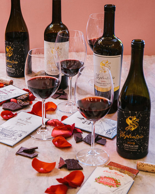 Dick Taylor Chocolate: A Simple Approach to Craftsmanship