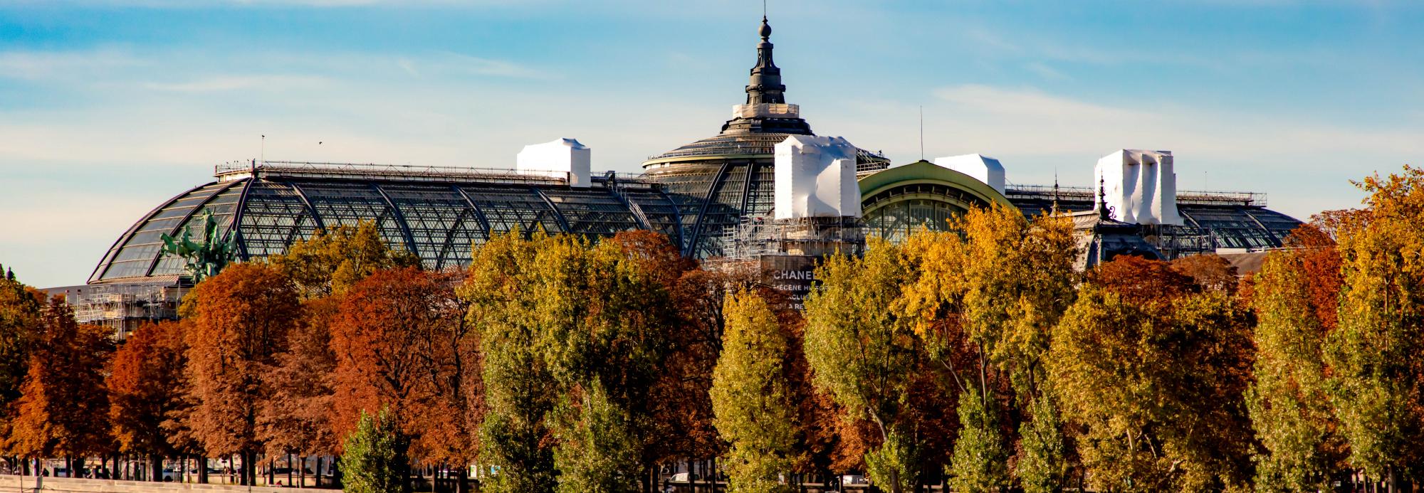 The Grand Palais